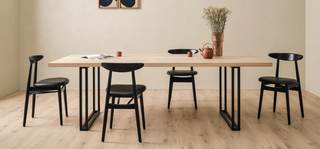 Teo dining chair