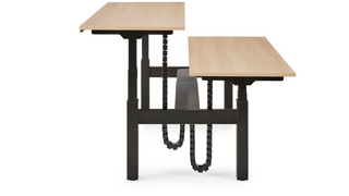The S-Line Bench