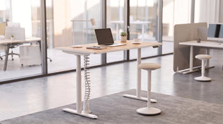 Buronomic Nuanza electric sit-stand desk in white and wire oak with Gemini stool