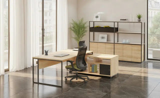 Stricto bureau